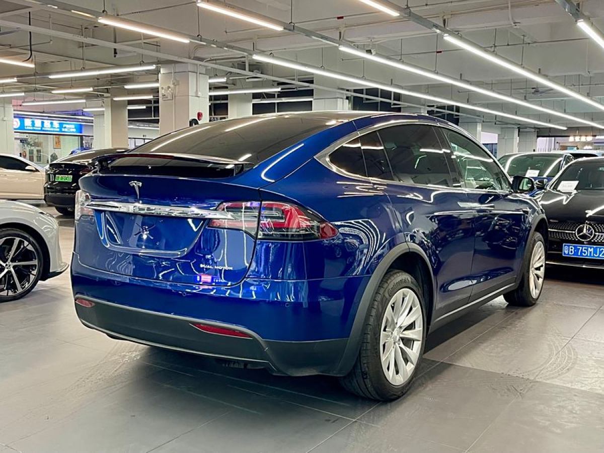 特斯拉 Model X  2019款 長(zhǎng)續(xù)航版圖片