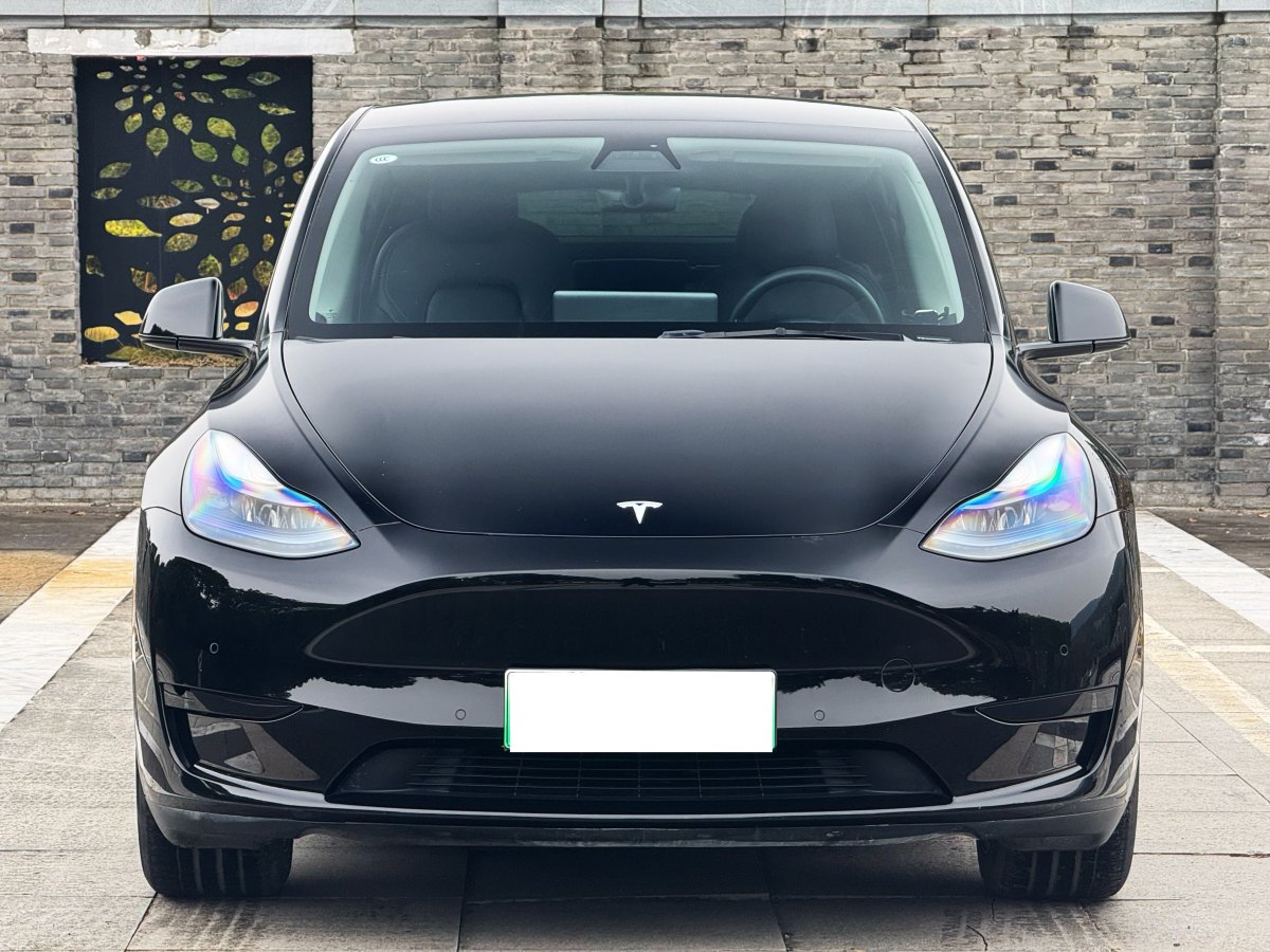 特斯拉 Model 3  2022款 后輪驅(qū)動版圖片