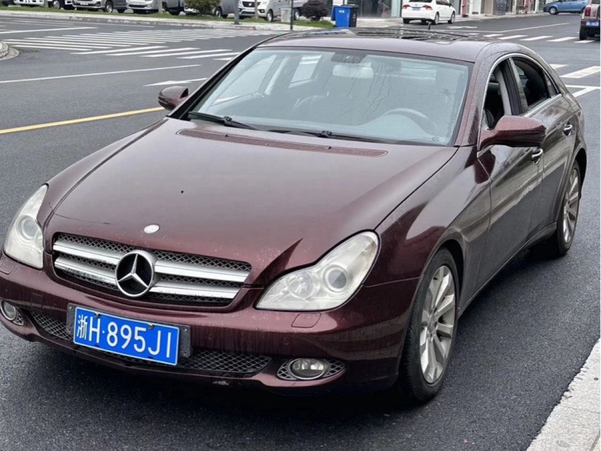 2010年08月奔馳 奔馳CLS級(jí)  2009款 CLS 300