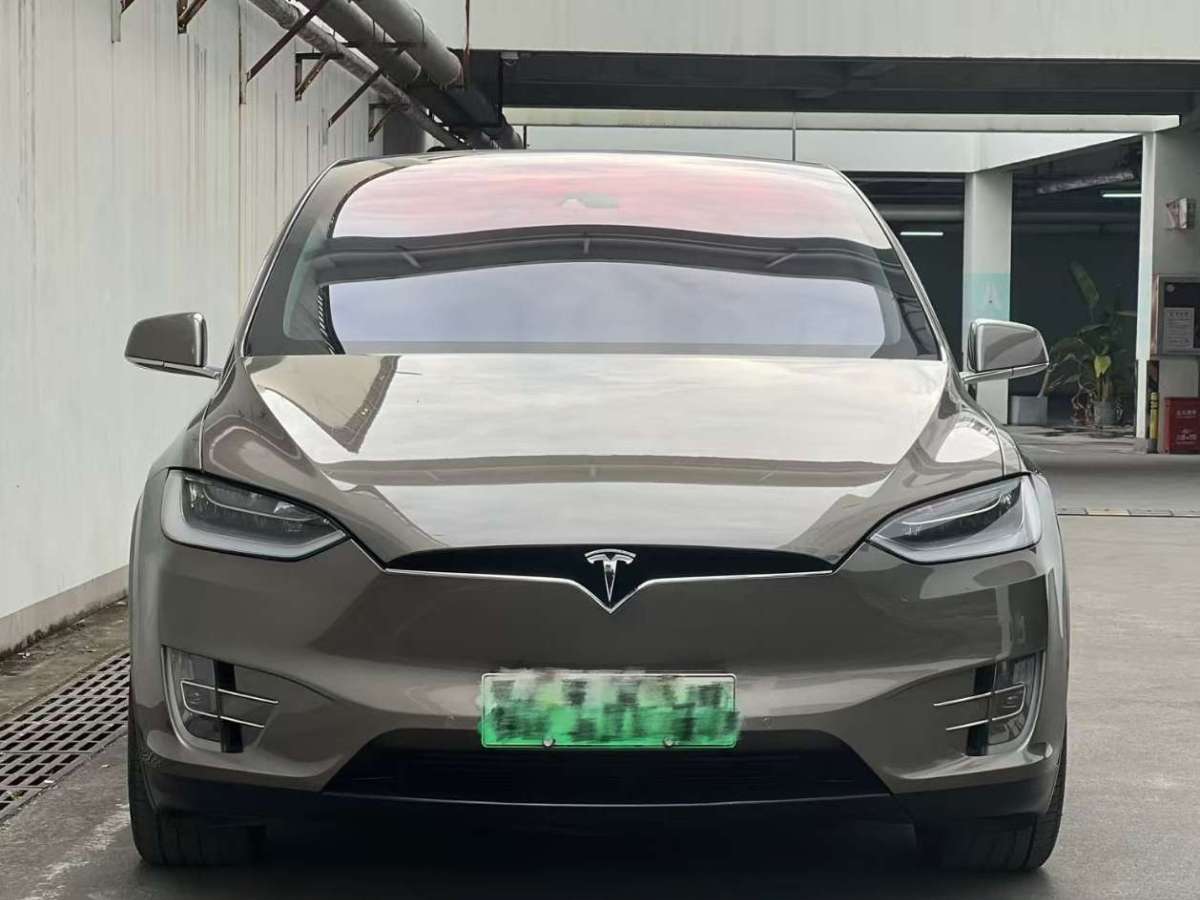 特斯拉 Model X  2016款 Model X 75D圖片