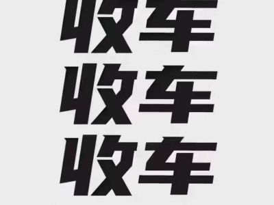 2010年1月 大眾 途歡(進(jìn)口) 2.0 TSI 特別版圖片