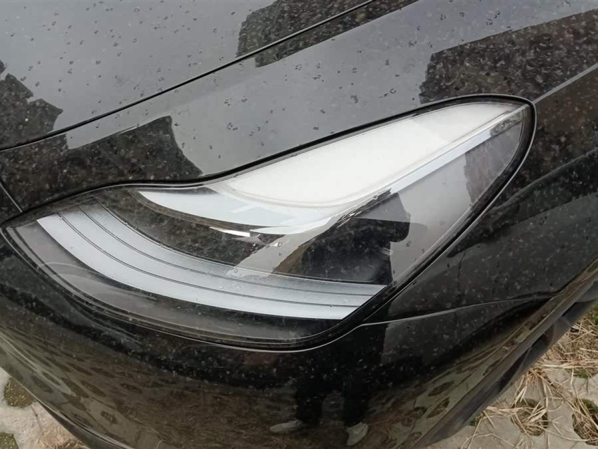 特斯拉 Model Y  2021款 標準續(xù)航后驅(qū)版圖片