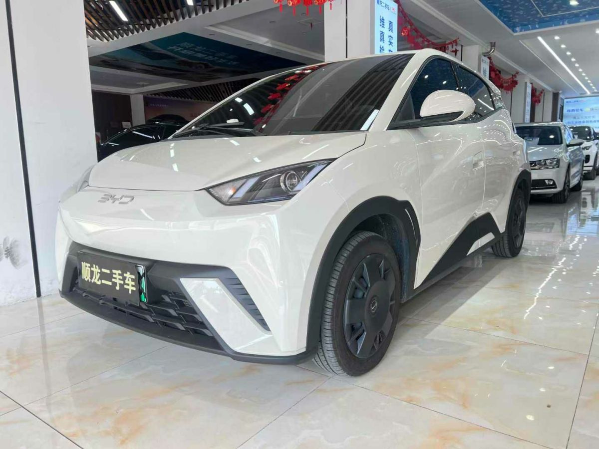 比亞迪 宋L DM-i  2024款 112km 超越型圖片