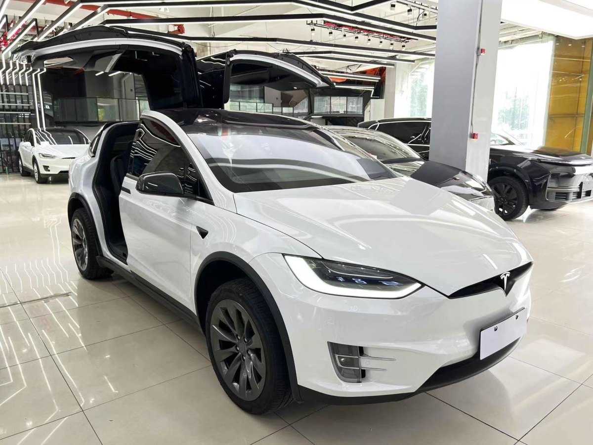 特斯拉 Model X  2019款 長續(xù)航版圖片