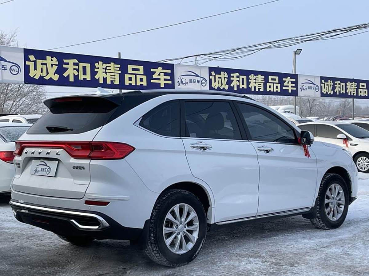 哈弗 M6  2021款 PLUS 1.5T DCT柳巖聯(lián)名版圖片