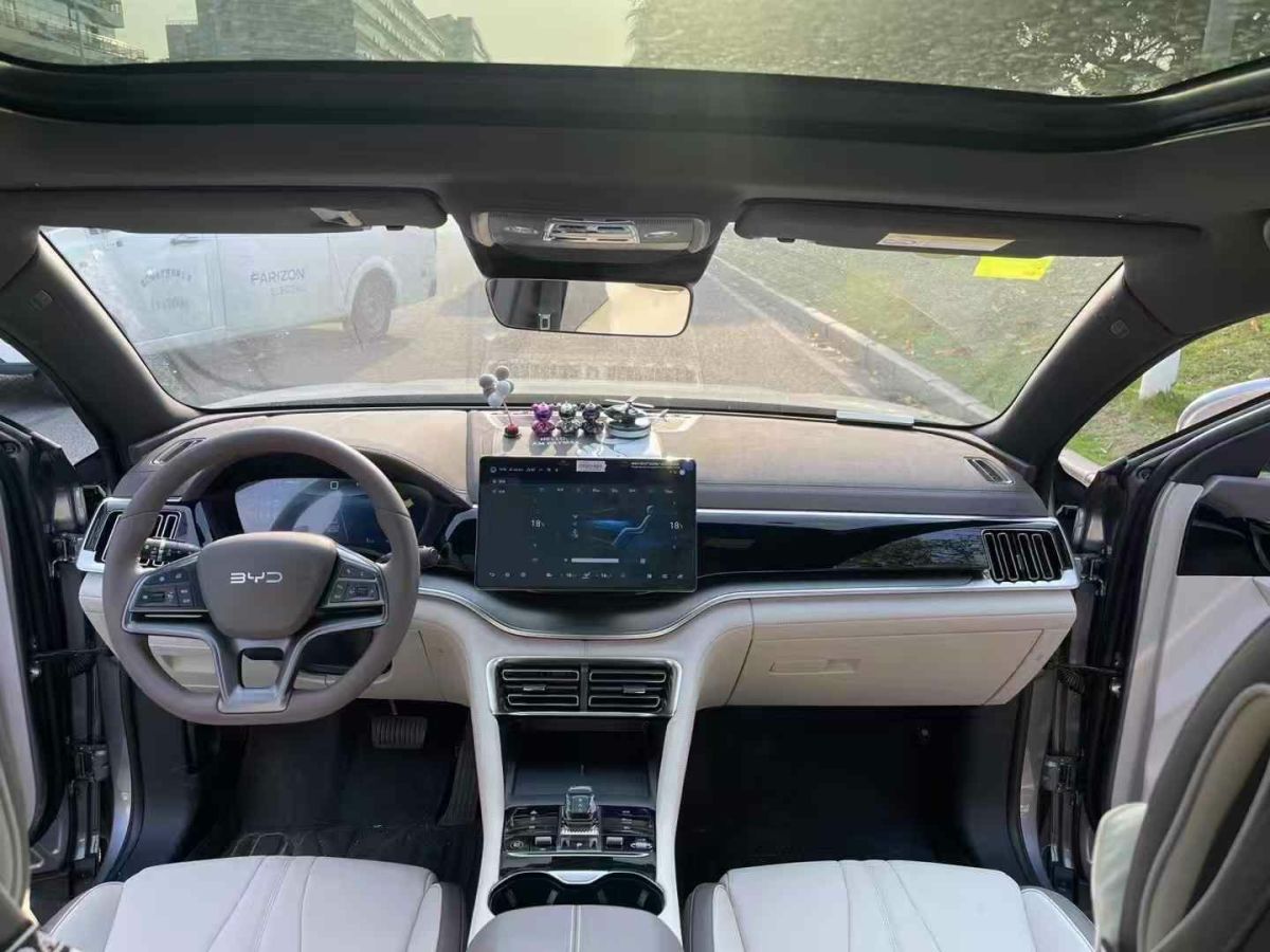 比亞迪 宋Pro新能源  2025款 第二代 智駕版 DM-i 115KM卓越型圖片