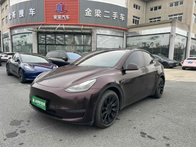 2021年2月 特斯拉 Model 3 長續(xù)航煥新版 雙電機全輪驅動圖片