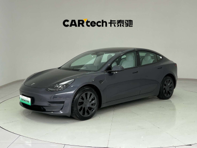 2023年3月 特斯拉 Model 3  后輪驅(qū)動版圖片