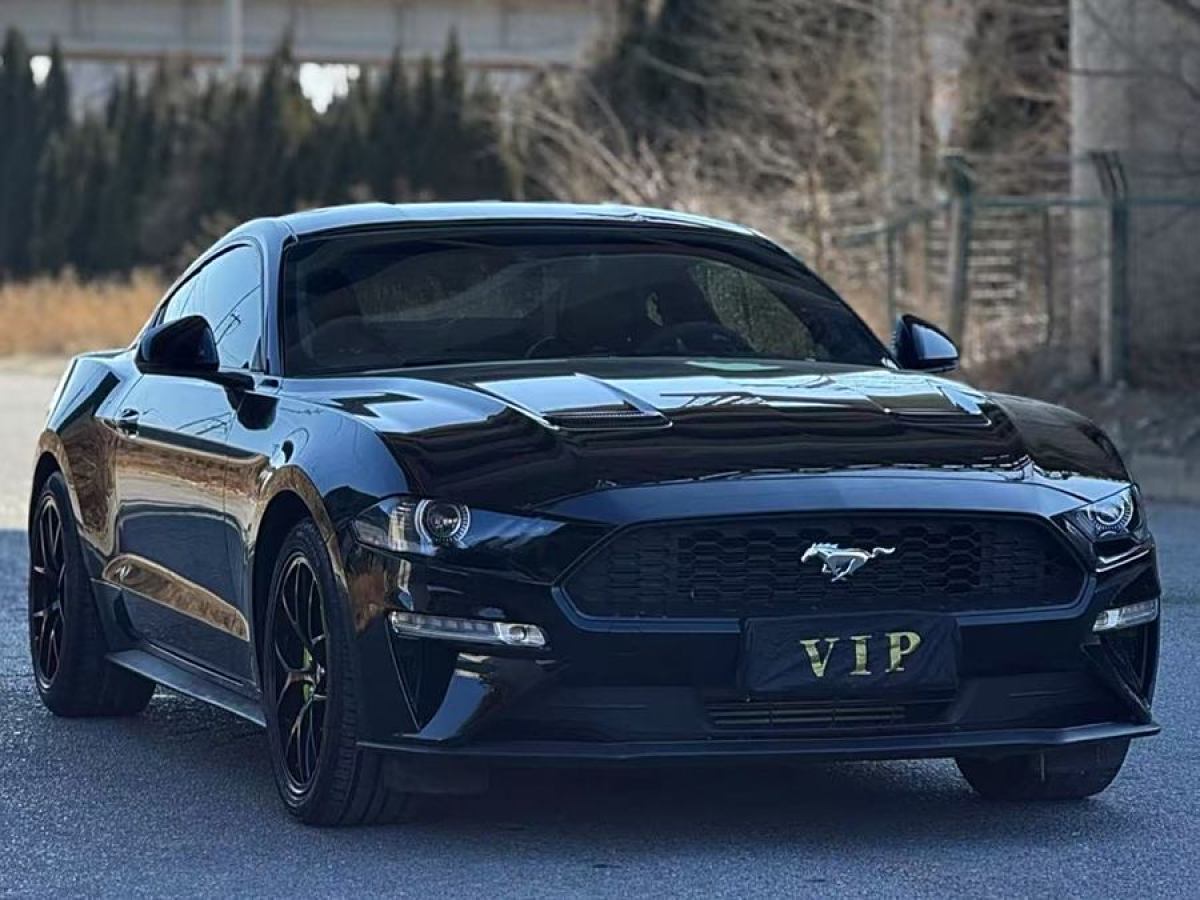 福特 Mustang  2019款 2.3L EcoBoost圖片