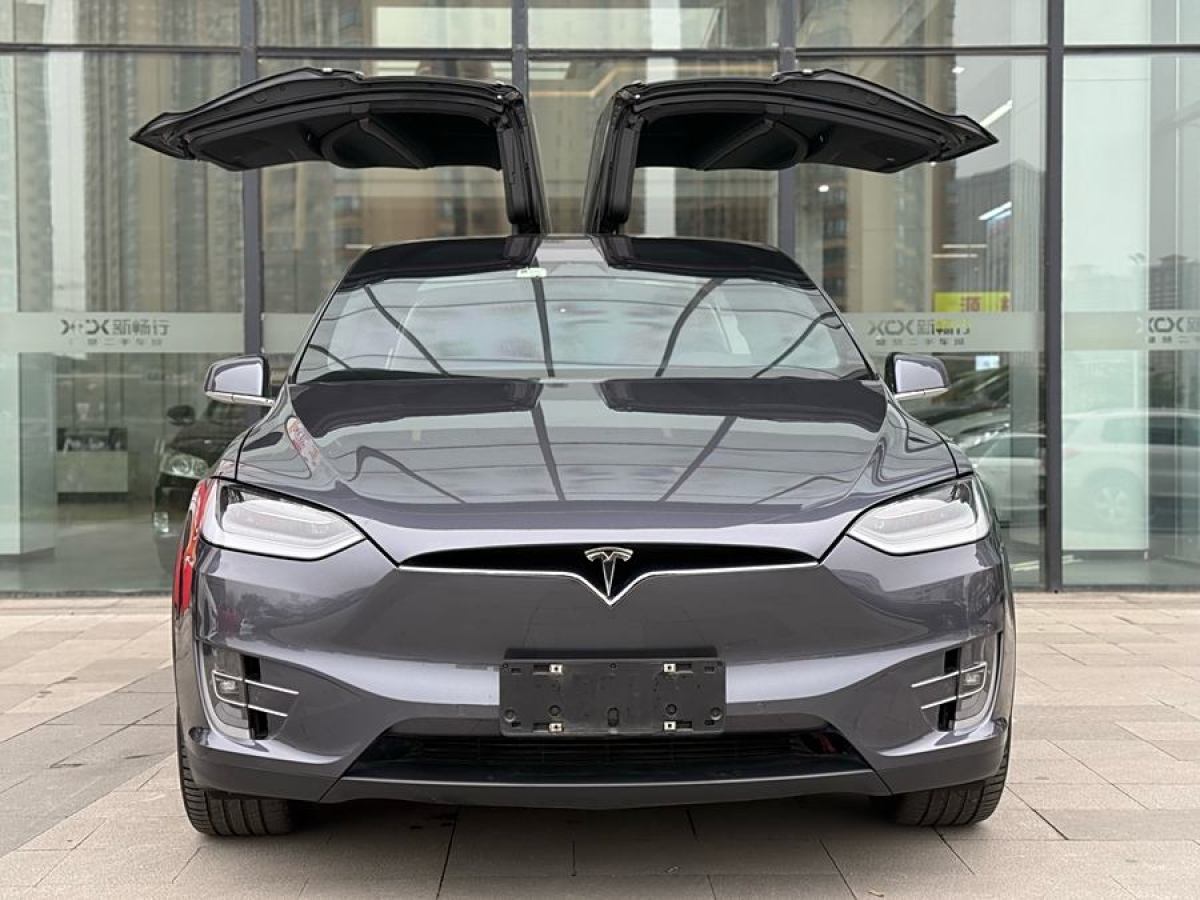 特斯拉 Model X  2020款 長(zhǎng)續(xù)航升級(jí)版圖片