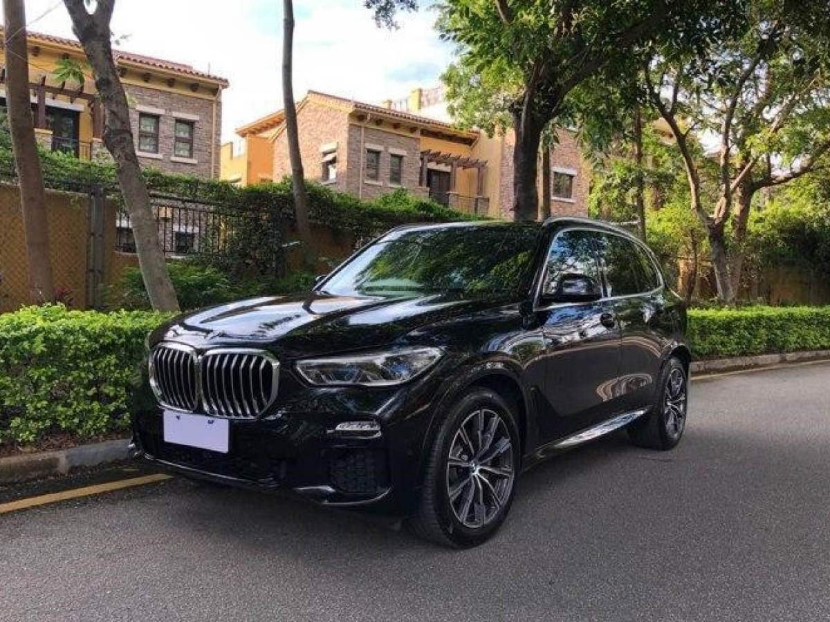 2019年2月宝马 宝马X5  2019款 xDrive40i M运动套装