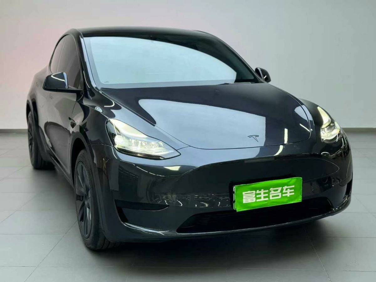 特斯拉 Model Y  2024款 Performance高性能版圖片