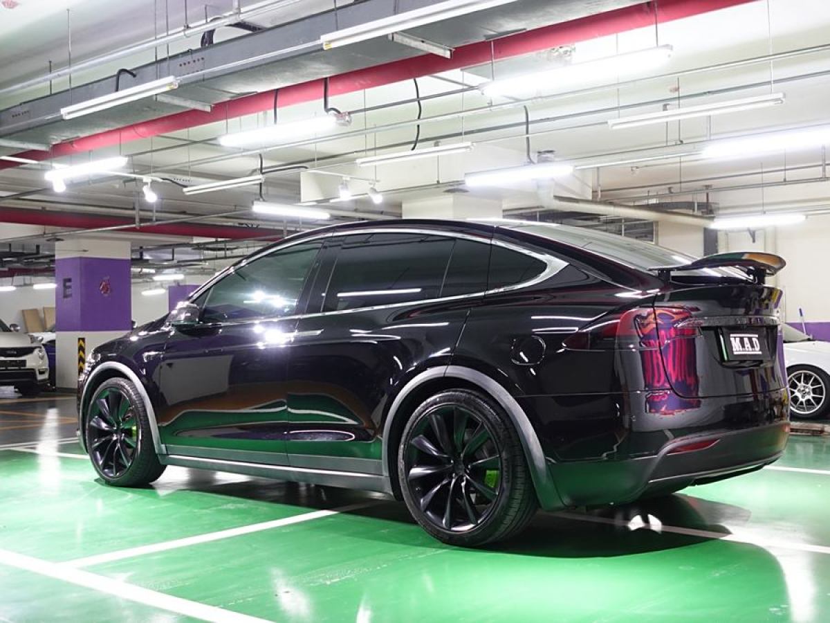 特斯拉 Model X  2019款 長續(xù)航版圖片