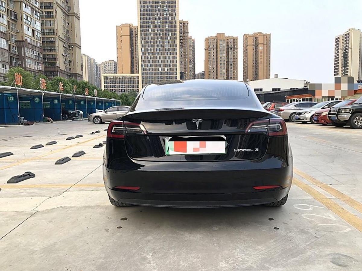 特斯拉 Model 3  2019款 標(biāo)準(zhǔn)續(xù)航后驅(qū)升級版圖片