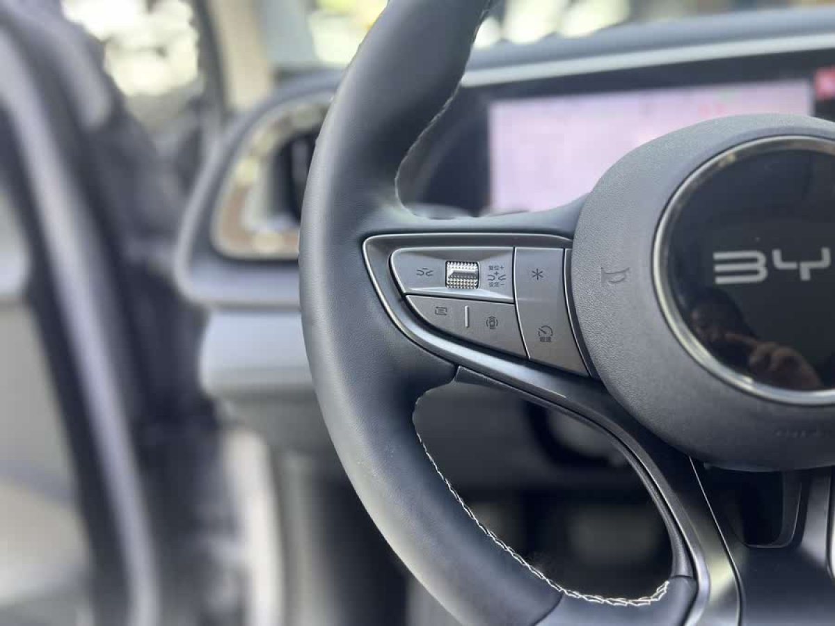比亞迪 宋PLUS新能源  2025款 EV 智駕版 520km 尊貴型圖片