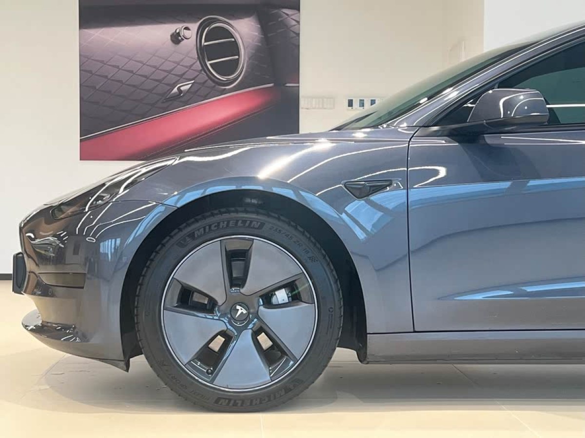 特斯拉 Model 3  2022款 后輪驅動版圖片