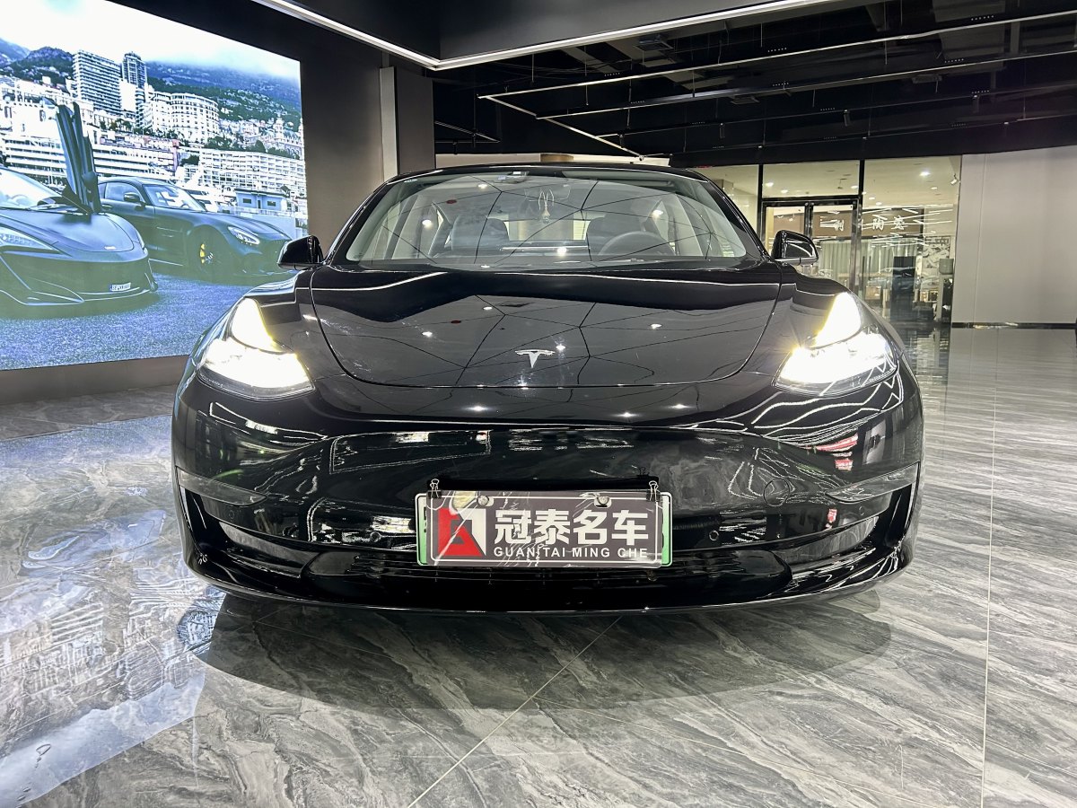 特斯拉 Model 3  2021款 Performance高性能全輪驅(qū)動版 3D6圖片