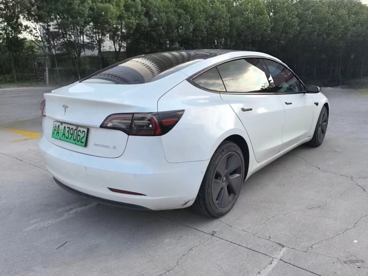 特斯拉 Model 3  2021款 標(biāo)準(zhǔn)續(xù)航后驅(qū)升級版 3D6圖片