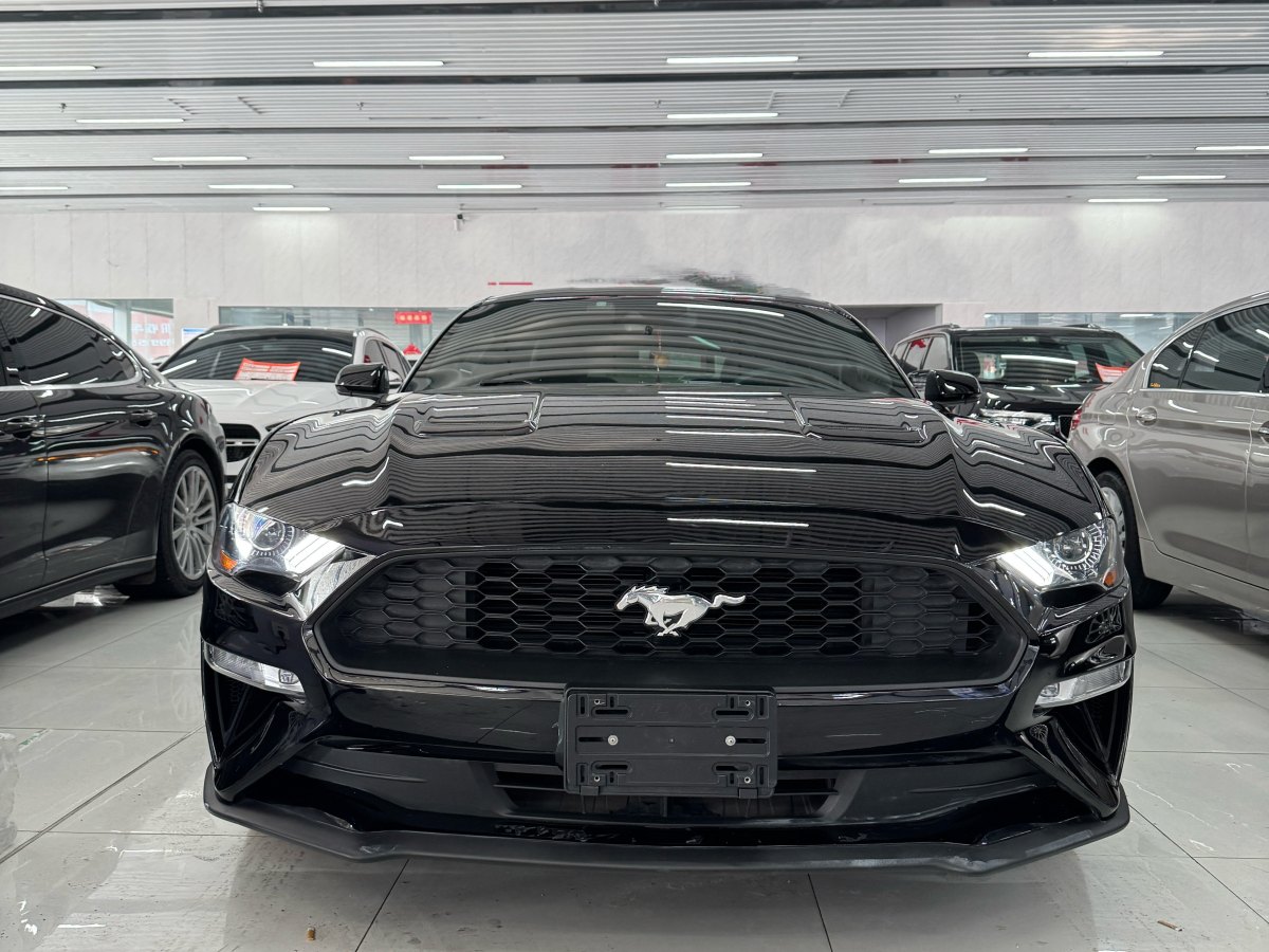 福特 Mustang  2019款 2.3L EcoBoost圖片