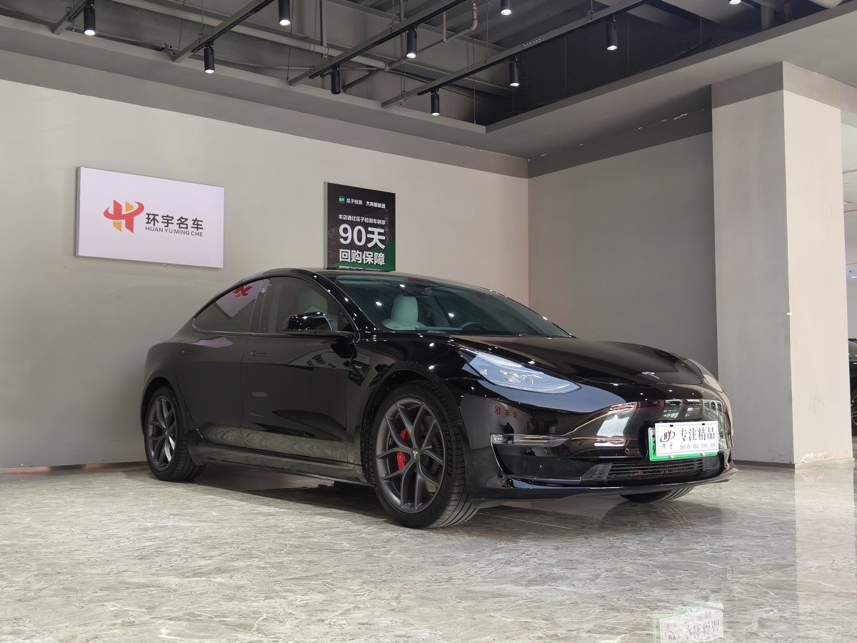 特斯拉 Model 3  2019款 Performance高性能全輪驅(qū)動(dòng)版圖片