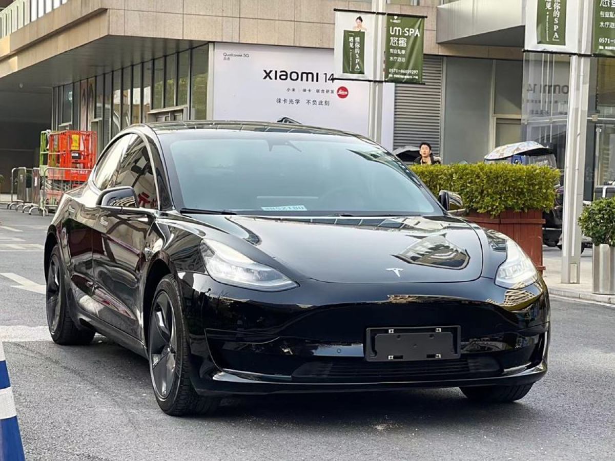 2020年3月特斯拉 Model 3  2019款 標(biāo)準(zhǔn)續(xù)航后驅(qū)升級版