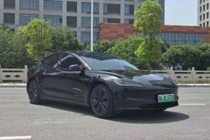 Model Y 特斯拉 Performance高性能版