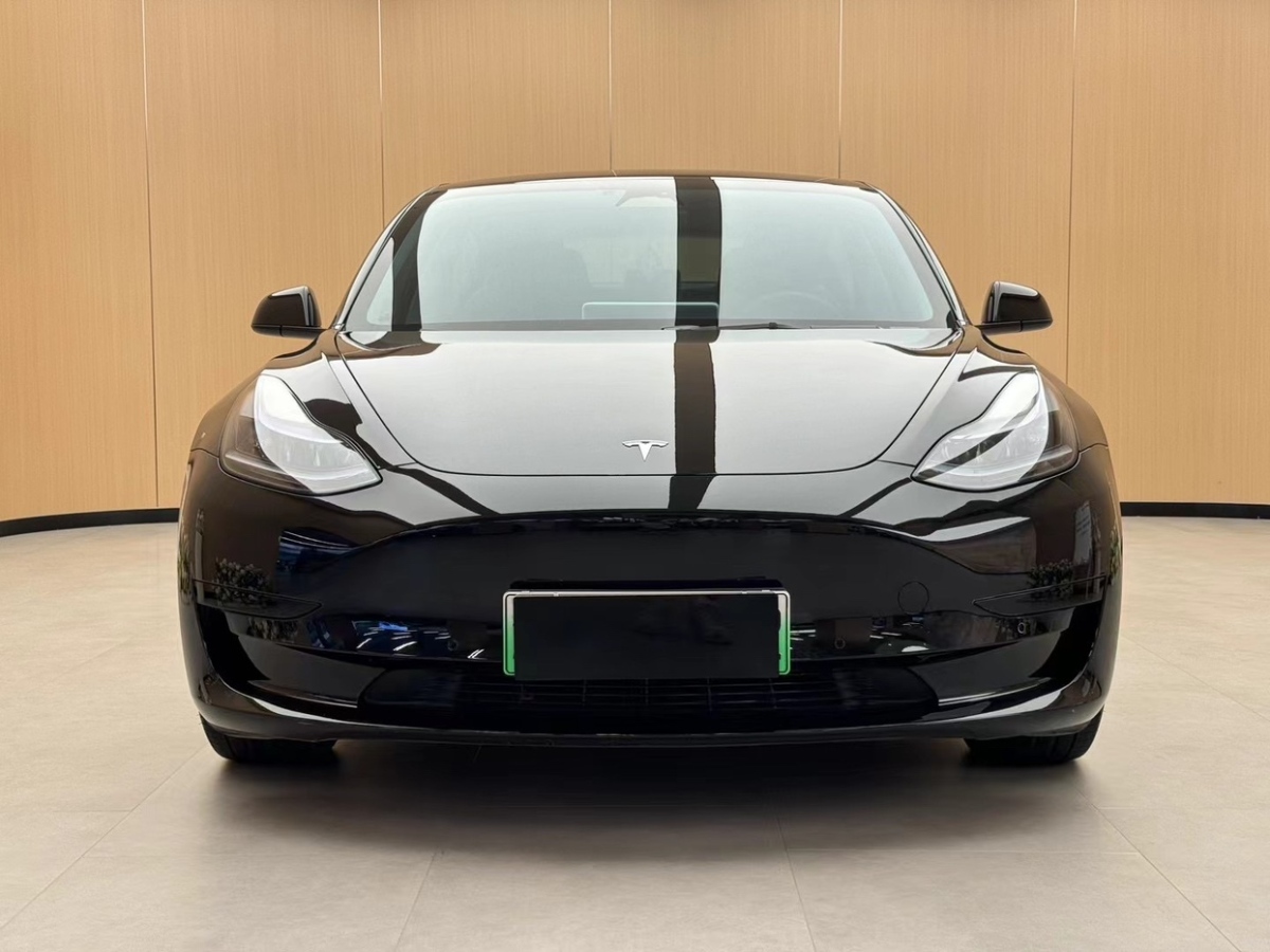 特斯拉 Model 3  2019款 Performance高性能全輪驅(qū)動版圖片