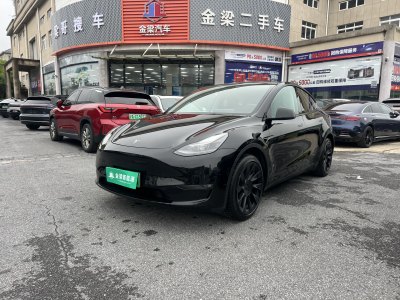 2022年1月 特斯拉 Model Y 改款 長續(xù)航全輪驅(qū)動版圖片