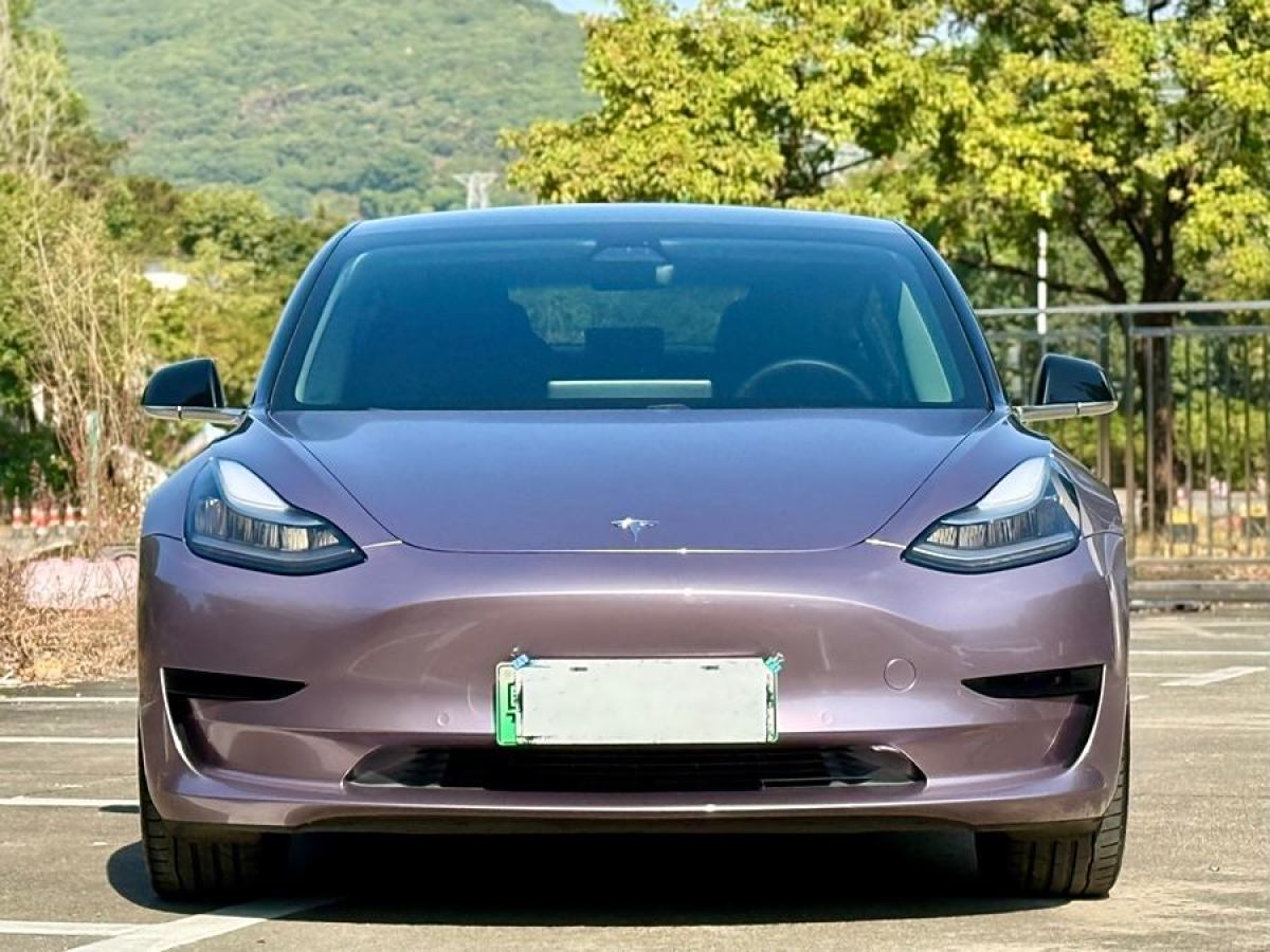 特斯拉 Model 3  2019款 標(biāo)準(zhǔn)續(xù)航后驅(qū)升級(jí)版圖片