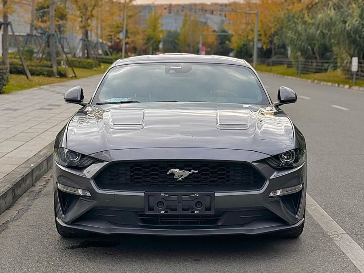 福特 Mustang  2021款 2.3L EcoBoost圖片