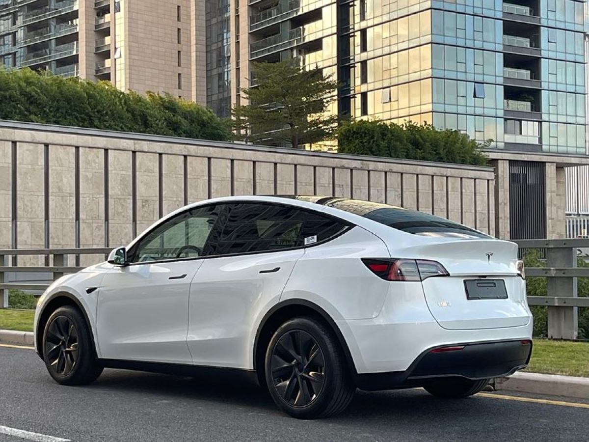 特斯拉 Model Y  2020款 改款 長續(xù)航后輪驅(qū)動版圖片