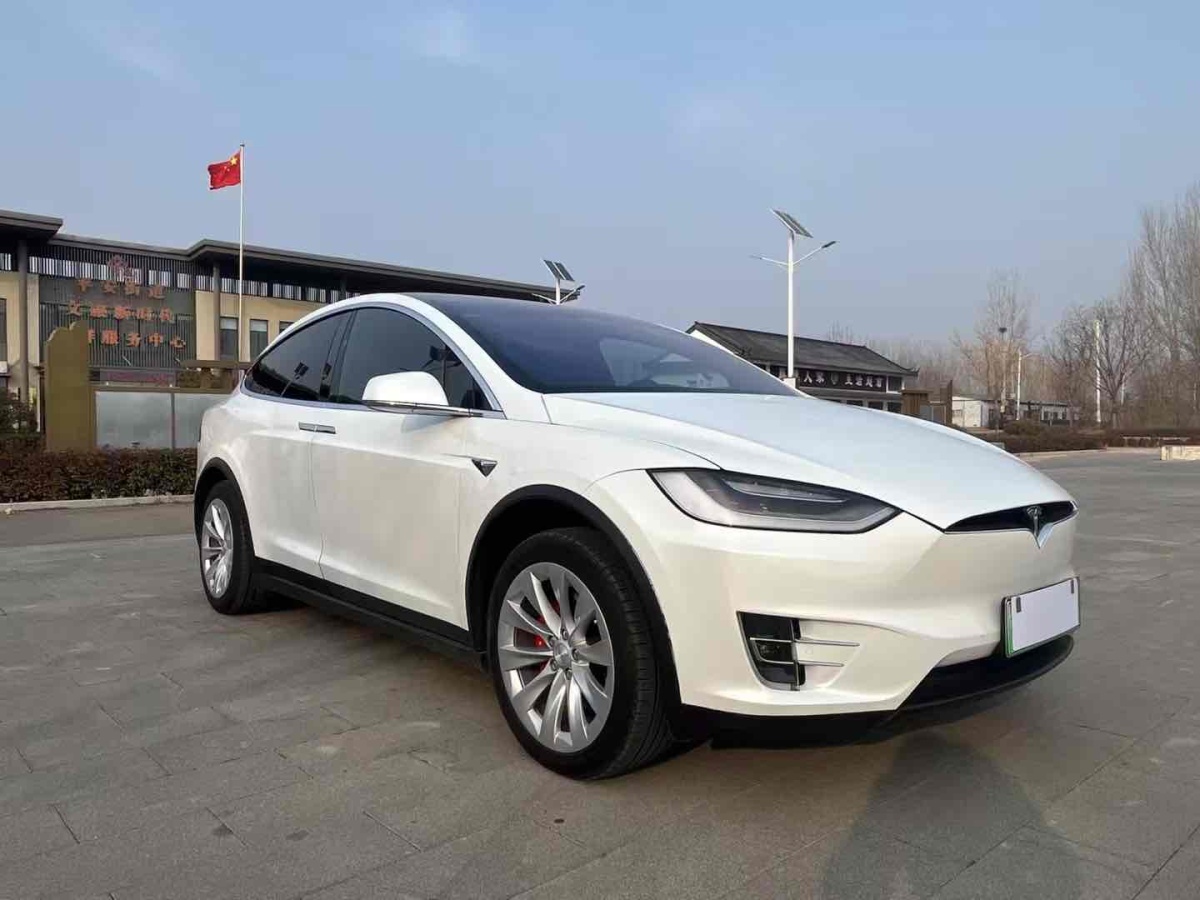 特斯拉 Model X  2019款 Performance 高性能版圖片