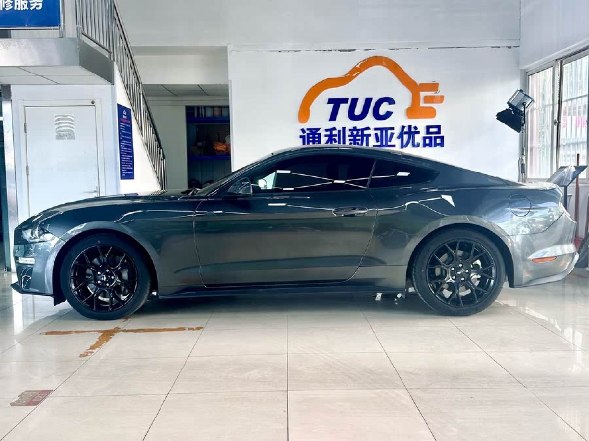 福特 Mustang  2019款 2.3L EcoBoost圖片