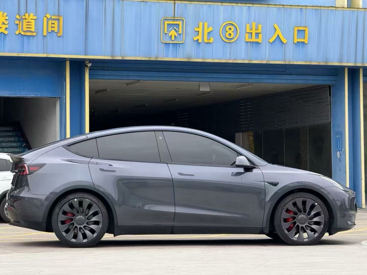 特斯拉 Model Y  2024款 Performance高性能版圖片