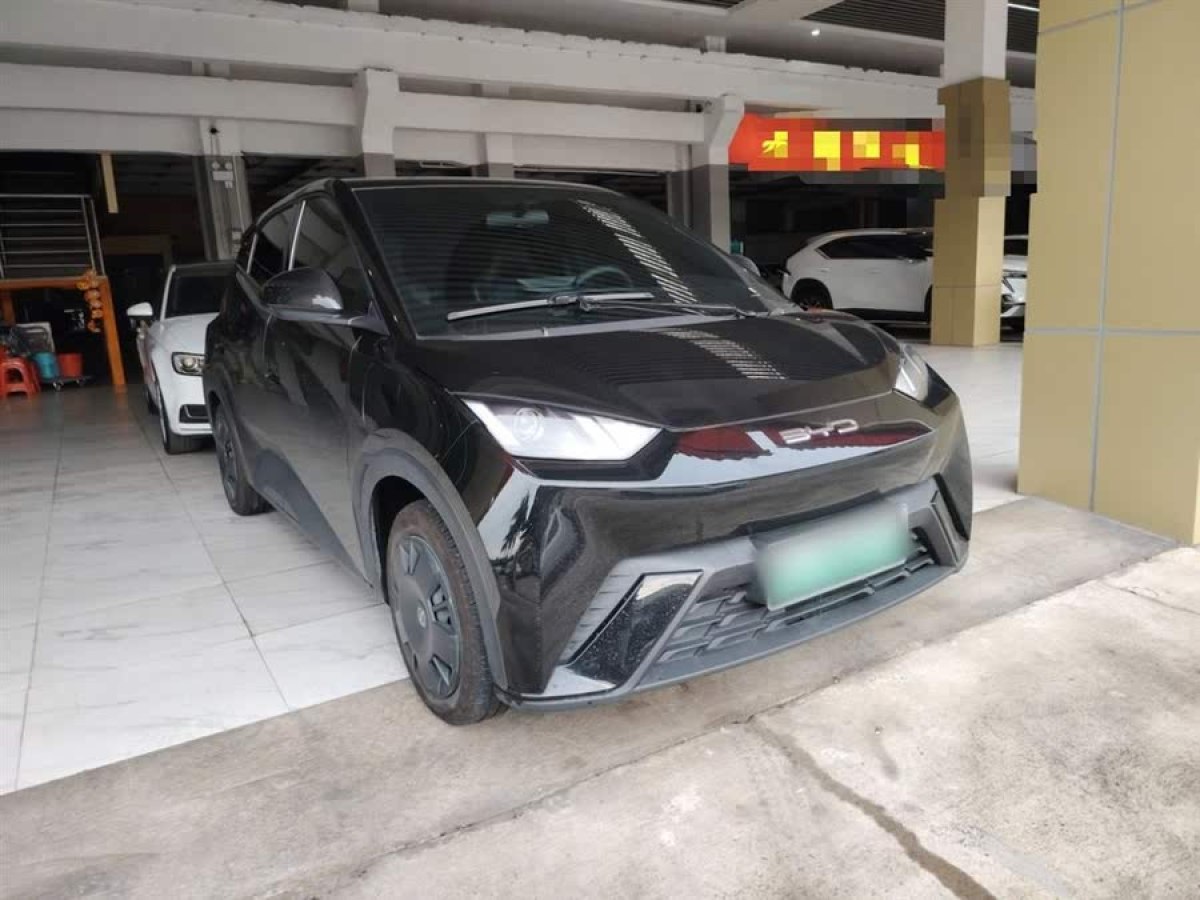 比亞迪 海鷗  2023款 活力版圖片