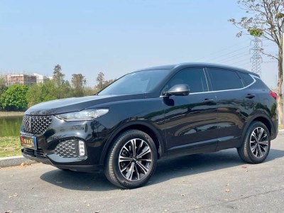 2020年7月 WEY VV6 2.0T 兩驅(qū)智護(hù)+圖片