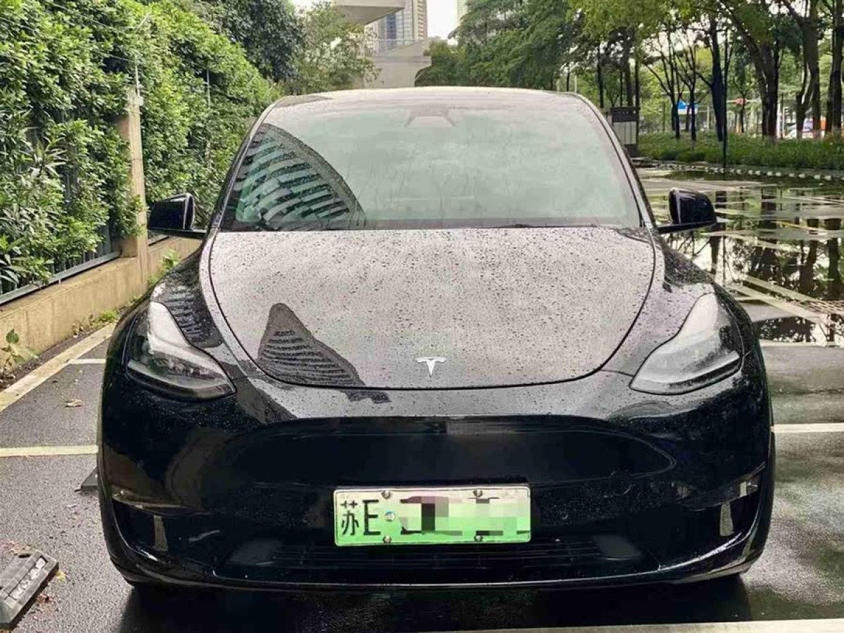 特斯拉 Model Y  2021款 標(biāo)準(zhǔn)續(xù)航后驅(qū)版圖片