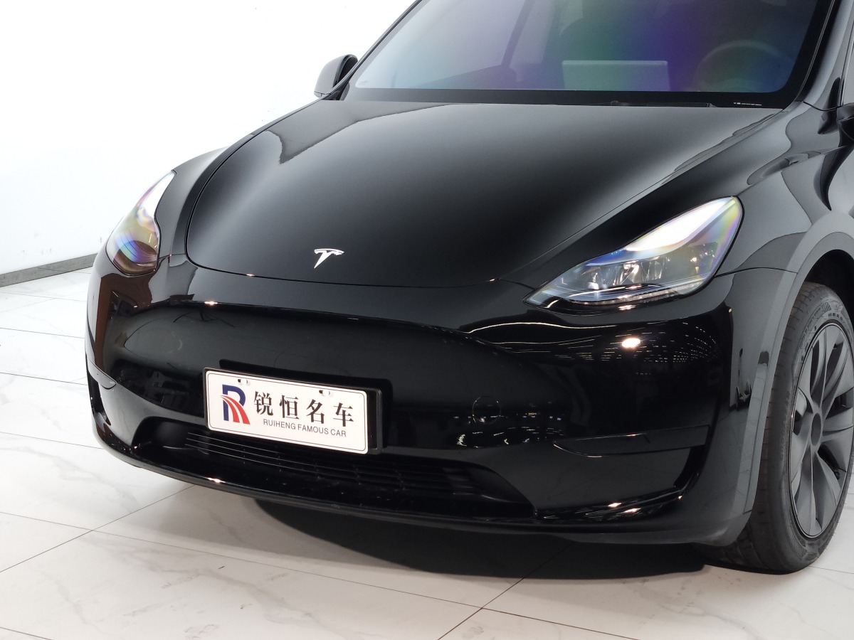 特斯拉 Model Y  2020款 改款 長(zhǎng)續(xù)航后輪驅(qū)動(dòng)版圖片