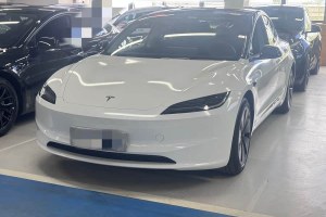 Model 3 特斯拉 長(zhǎng)續(xù)航全輪驅(qū)動(dòng)版