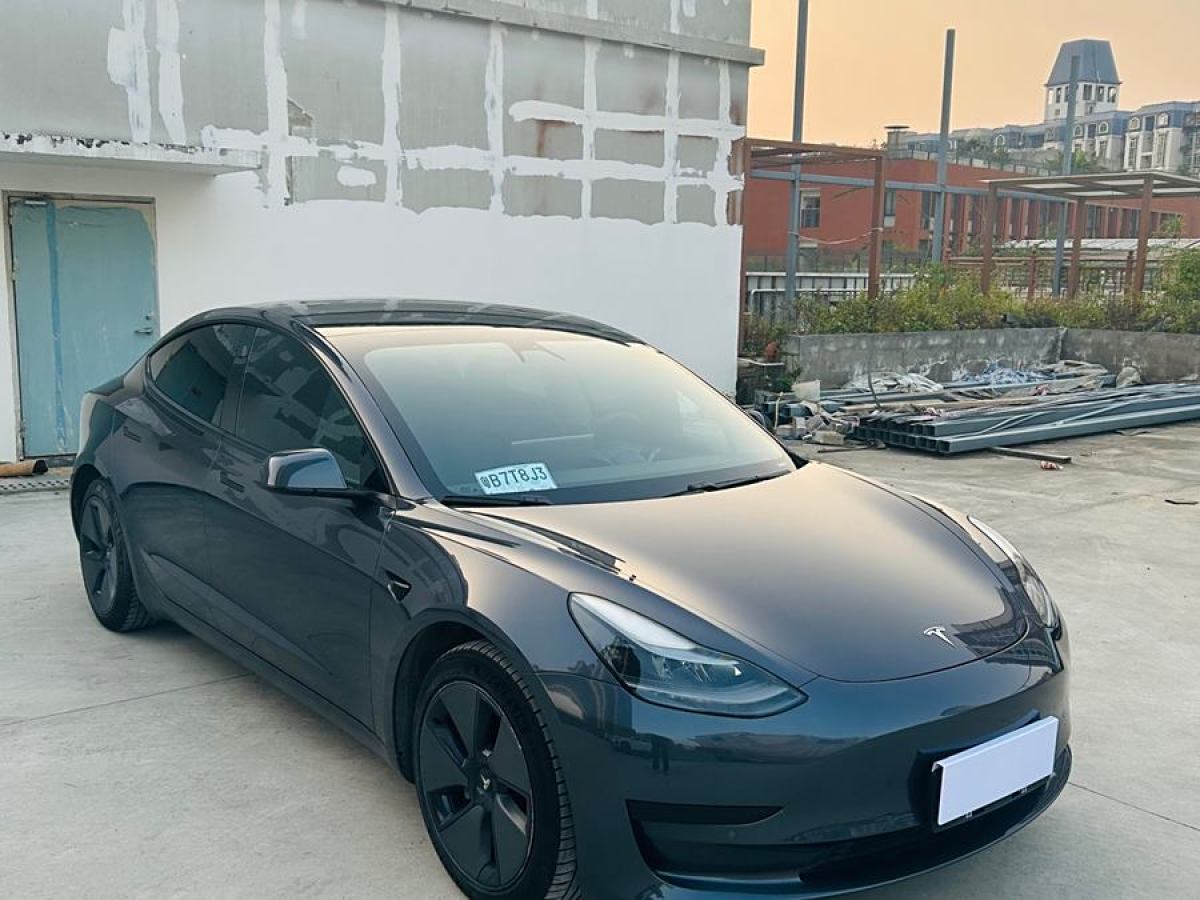 特斯拉 Model 3  2021款 改款 標準續(xù)航后驅(qū)升級版圖片