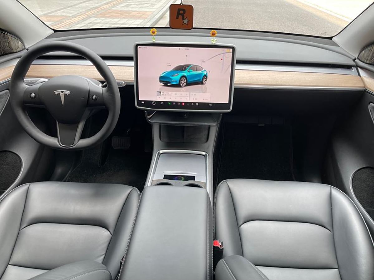 特斯拉 Model Y  2020款 改款 長續(xù)航后輪驅(qū)動版圖片