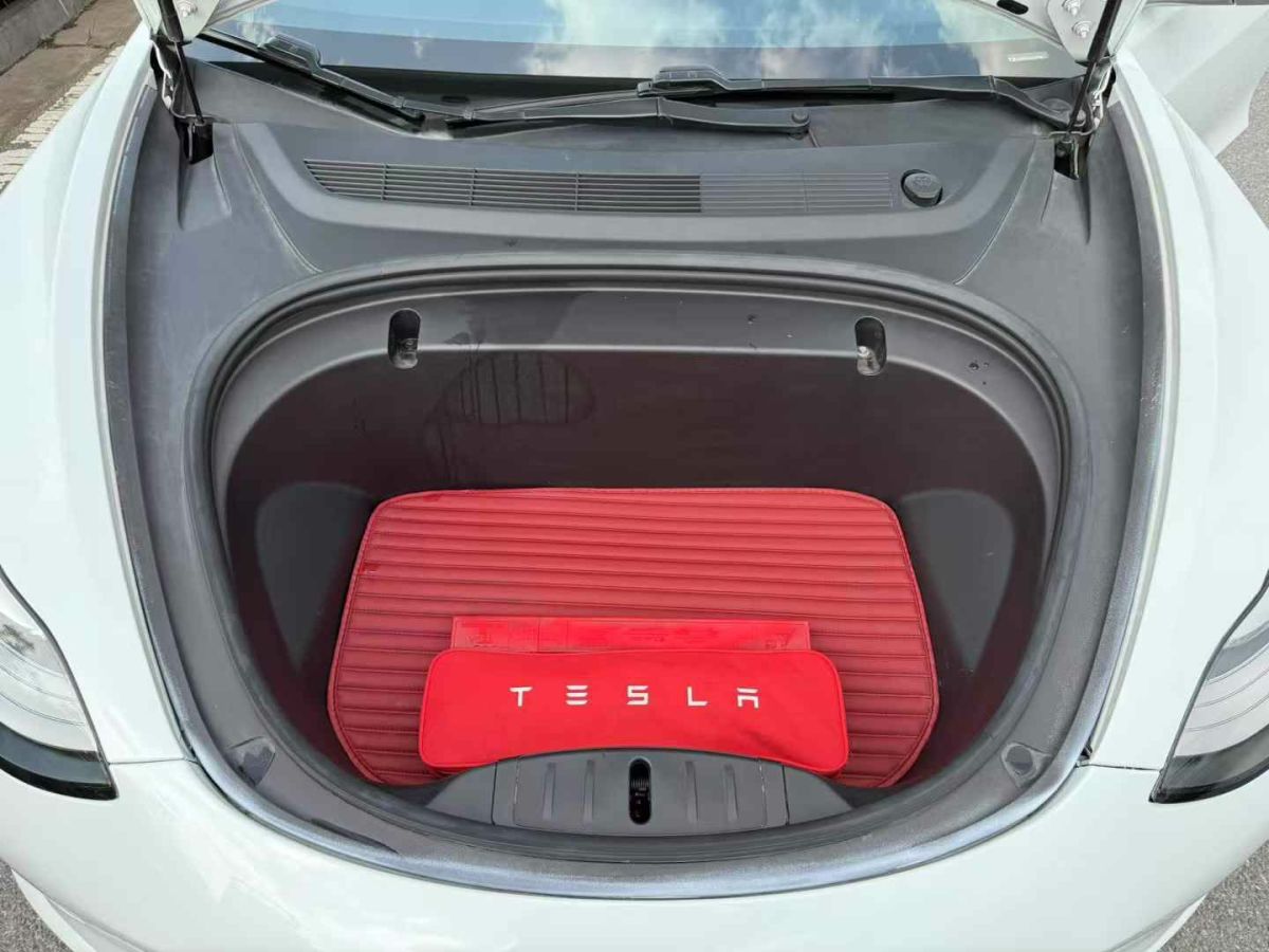 特斯拉 Model X  2020款 Performance 高性能版圖片