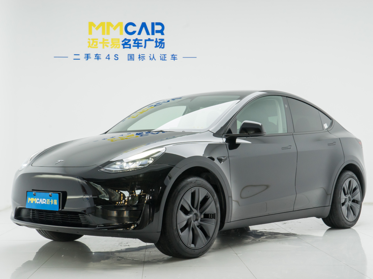 特斯拉 Model Y  2020款 改款 長續(xù)航后輪驅(qū)動版圖片