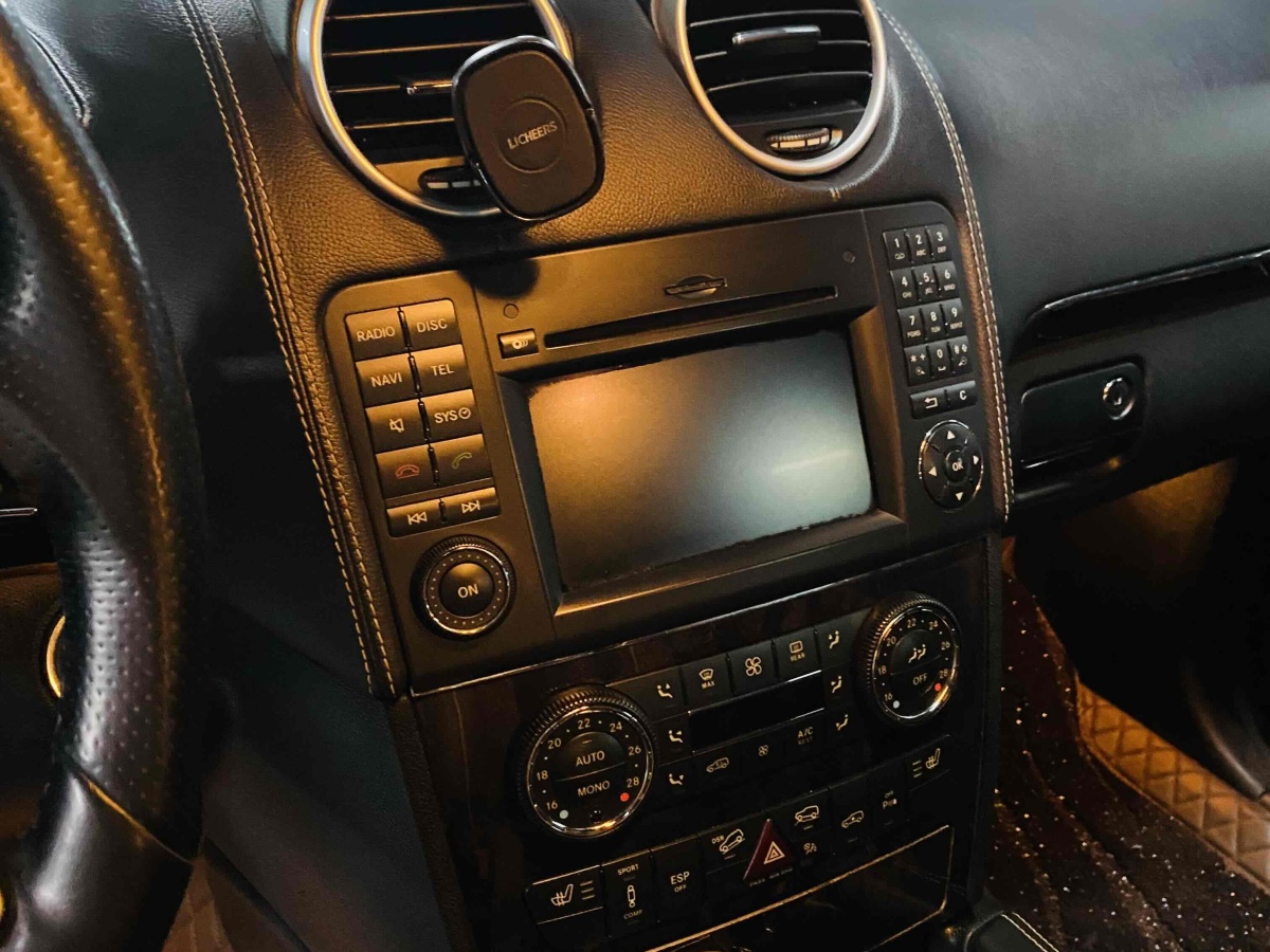 奔驰 奔驰M级  2010款 ML 350 4MATIC豪华型特别版图片
