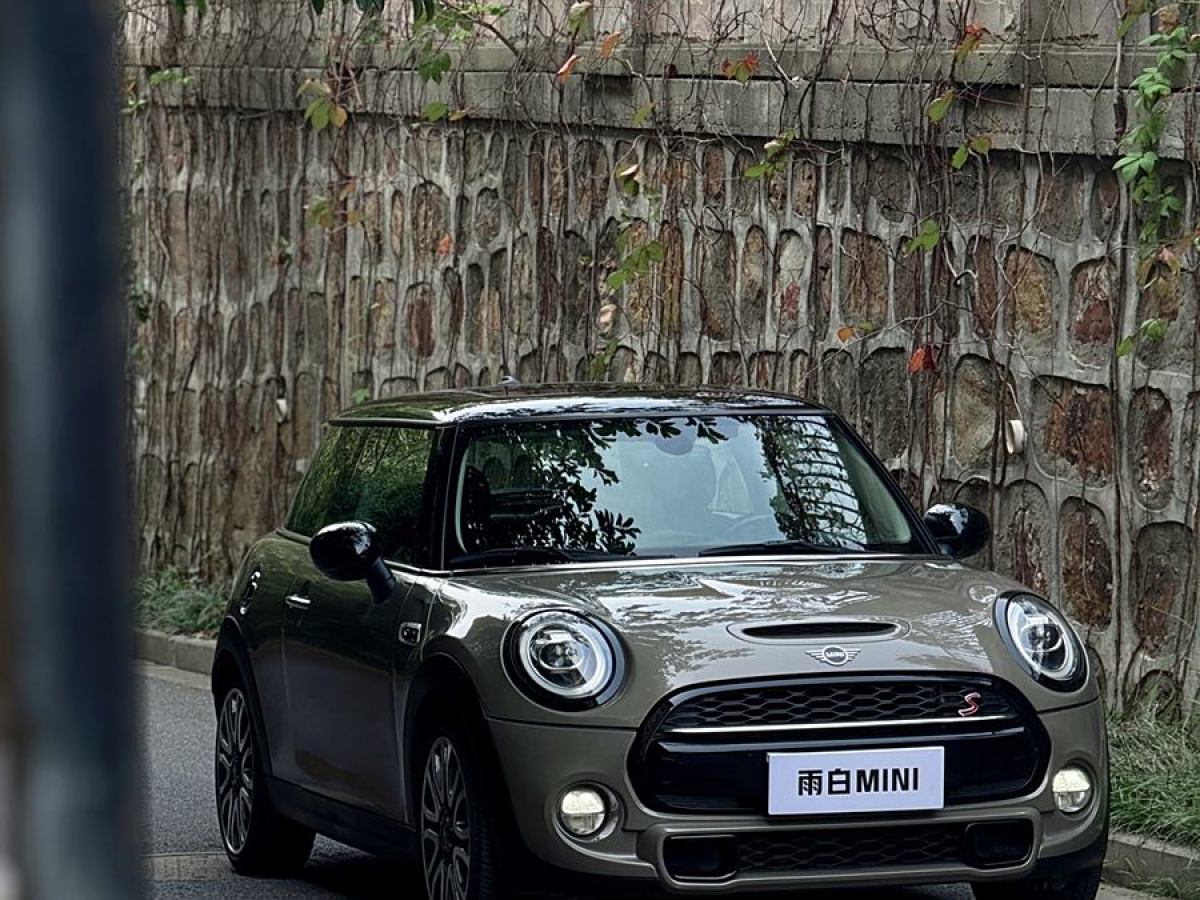 MINI CLUBMAN  2018款 2.0T COOPER S 藝術(shù)家圖片