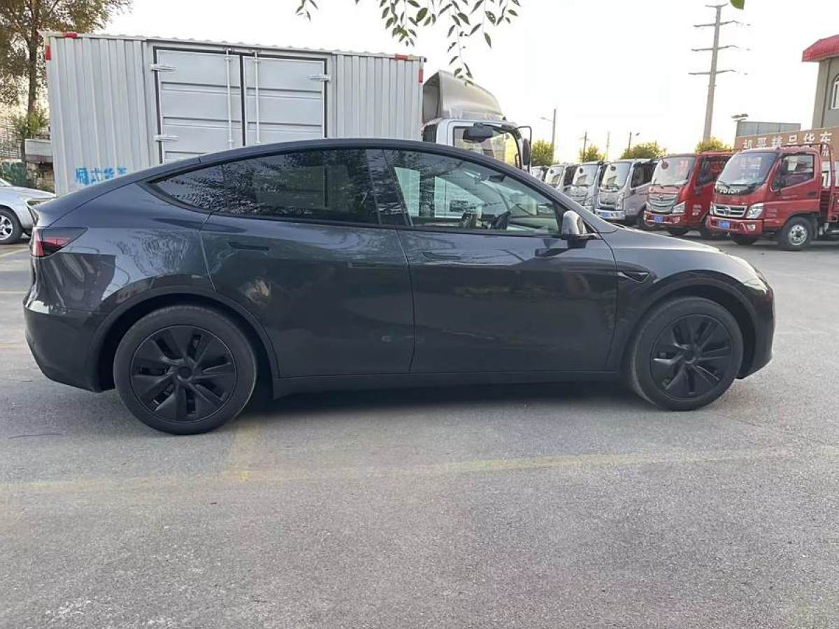 特斯拉 Model Y  2020款 改款 长续航后轮驱动版图片