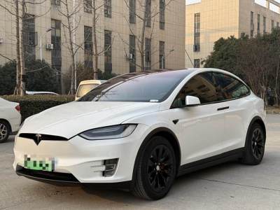 2019年4月 特斯拉 Model X Model X 100D 長續(xù)航版圖片