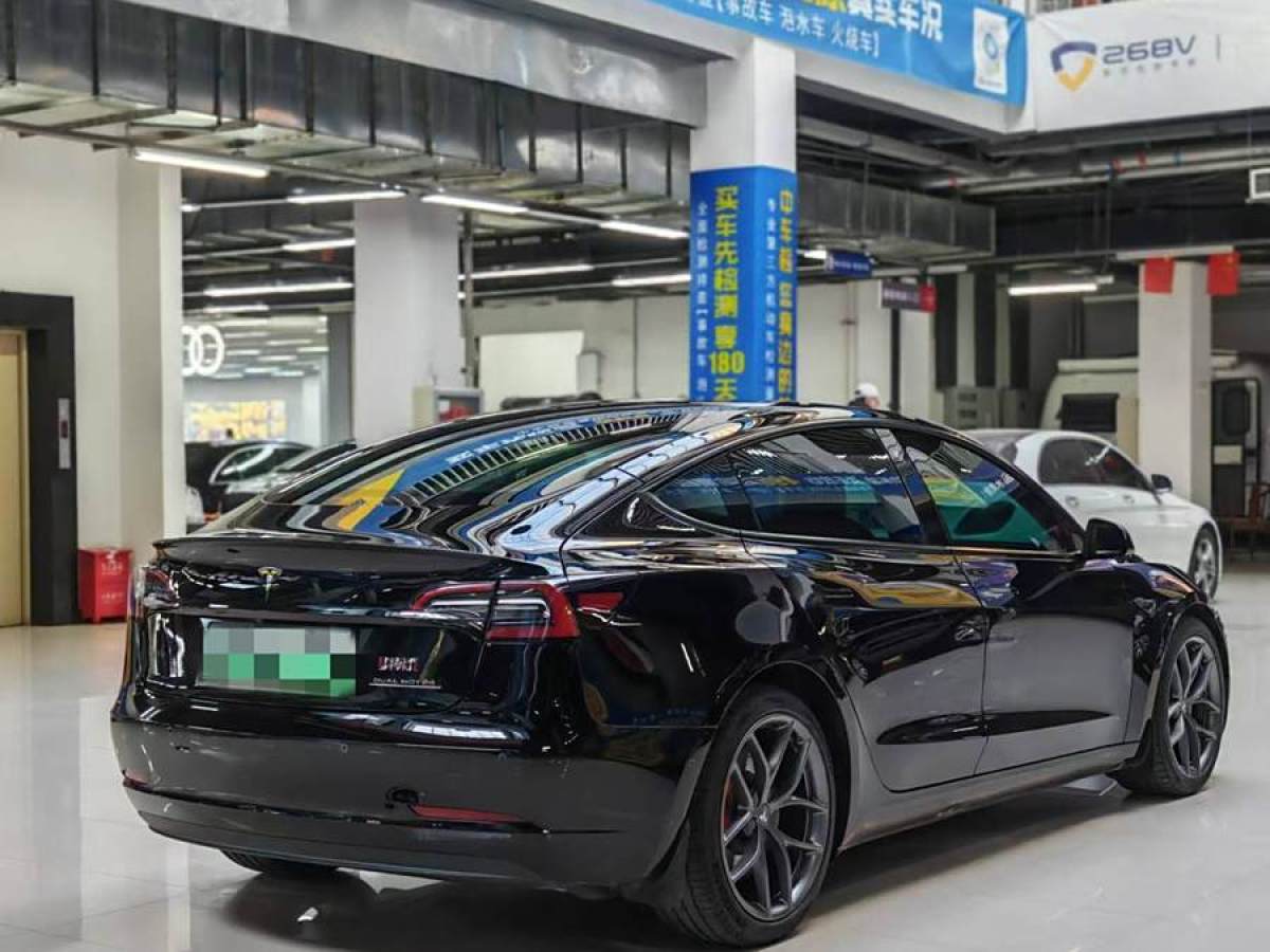 特斯拉 Model 3  2021款 Performance高性能全輪驅(qū)動(dòng)版 3D6圖片