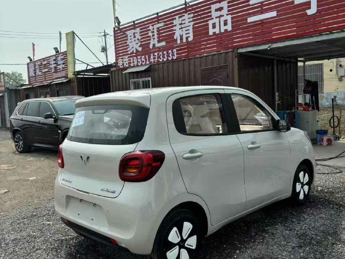 五菱 菱勢(shì)黃金小卡  2025款 倉(cāng)柵 頂配版圖片