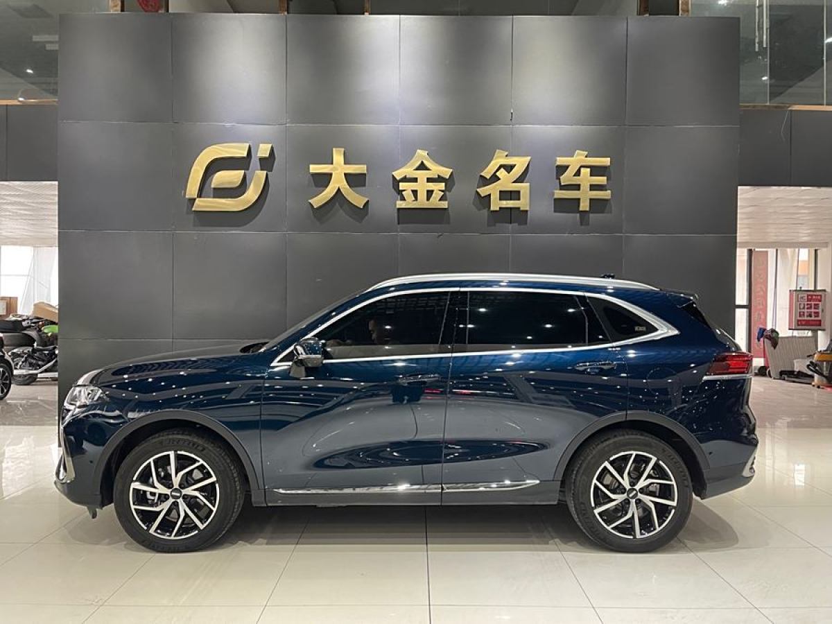 WEY 拿鐵DHT-PHEV  2022款 1.5T 四驅(qū)超大杯圖片